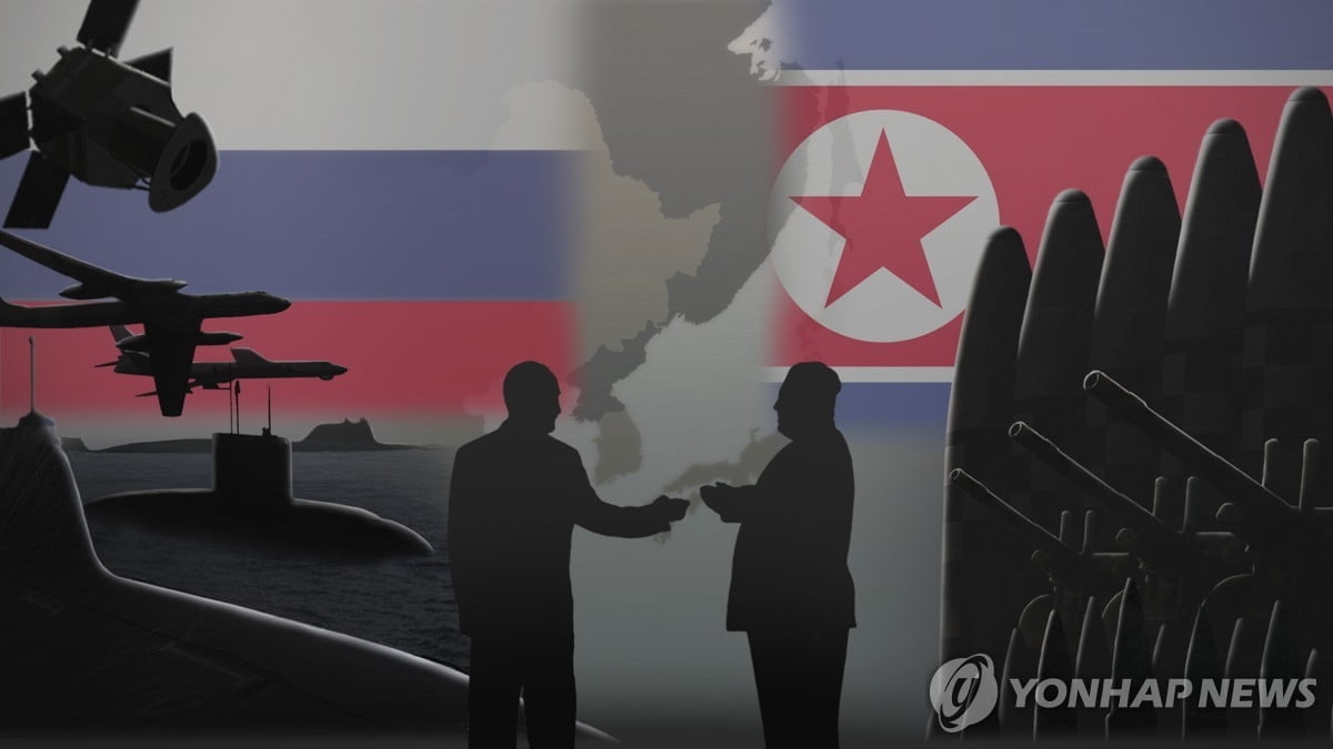 "우크라전 승자는 북한...무기 제작 역량 과시"