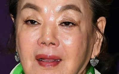 76세 김수미, 건강 문제로 활동 잠정 중단 "피로 누적 진단에 입원"