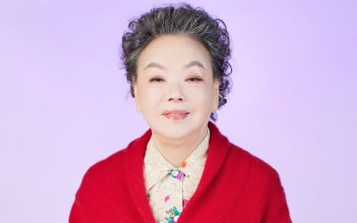 김수미, 피로 누적으로 입원…활동 잠정 중단
