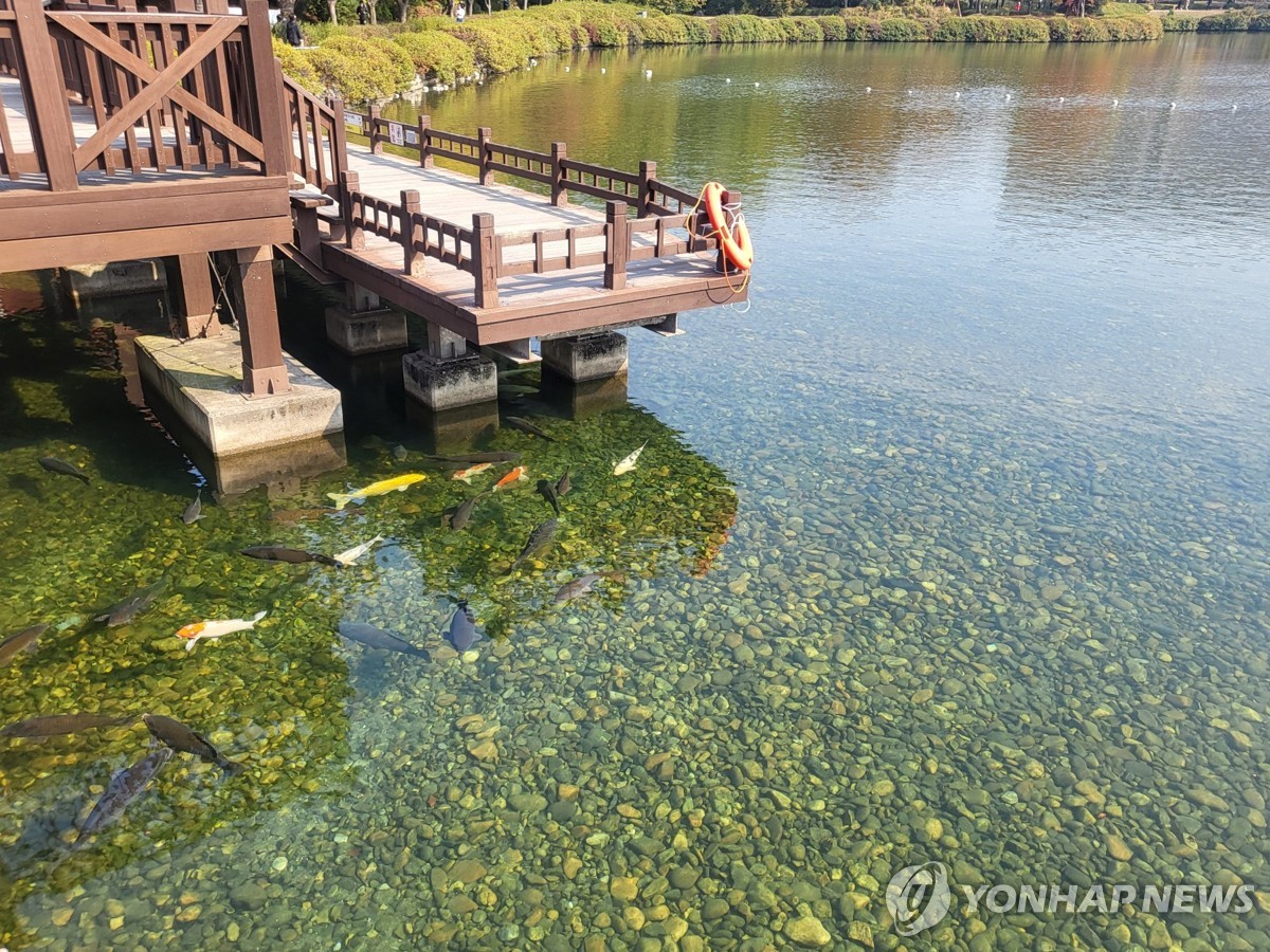 일산호수공원 27년 만에 새로 단장해 관광 명소화 추진