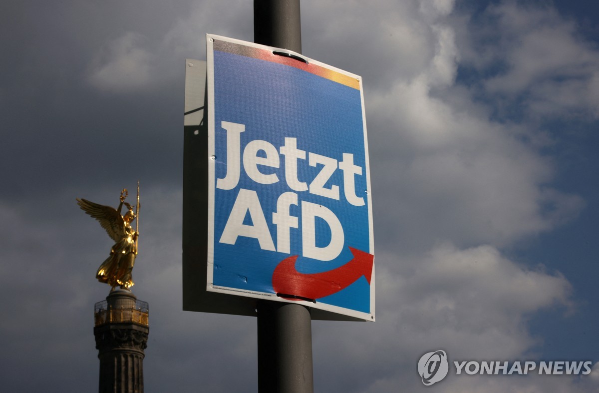 "AfD 극단주의 의심"…독일 법원, 정보기관 감시 허용