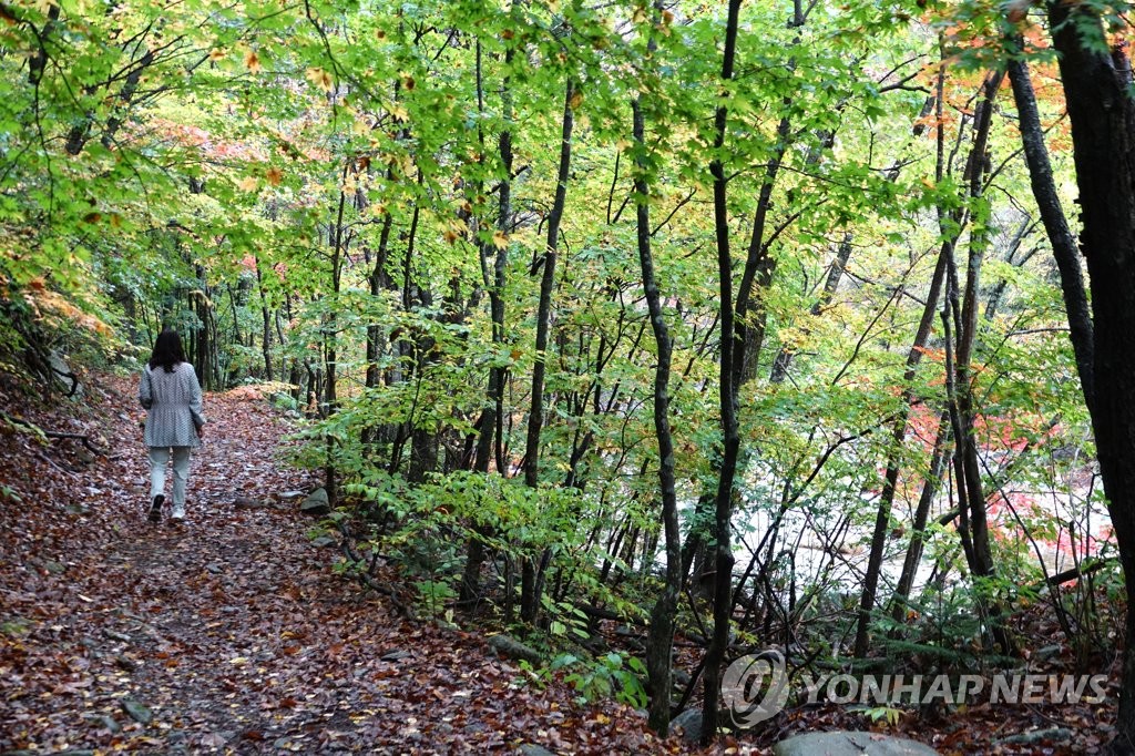 오대산사고로 떠나는 생태관광…"드라마틱 서사가 있는 곳"