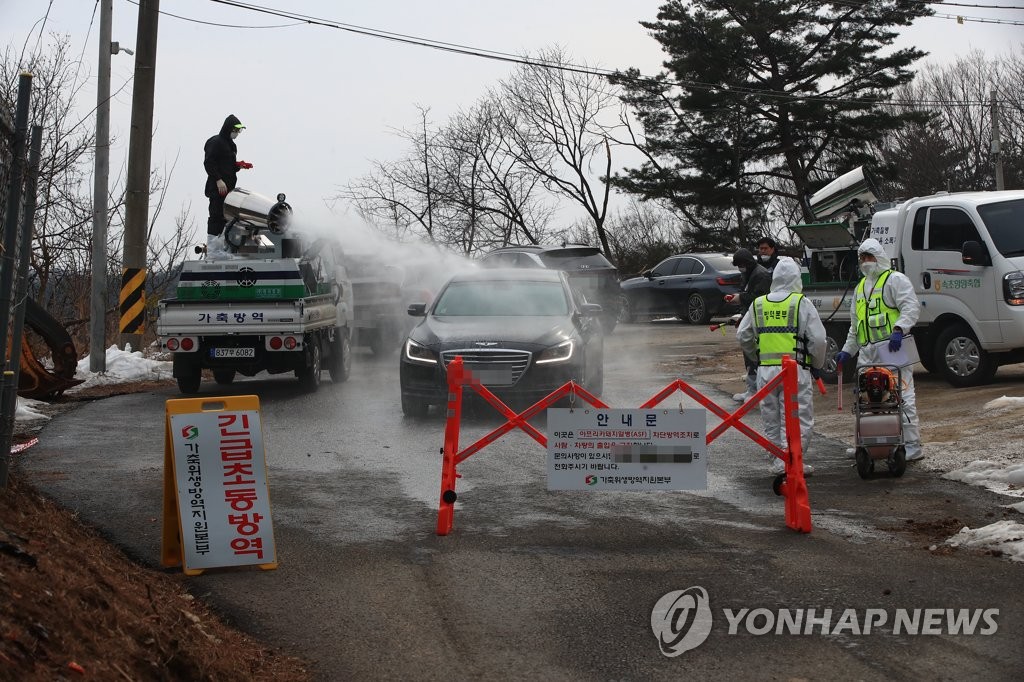 정부, 29∼31일 아프리카돼지열병 방역 점검