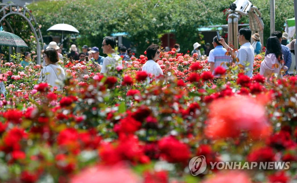 '우리 모두가 장미' 곡성군 세계장미축제 개막