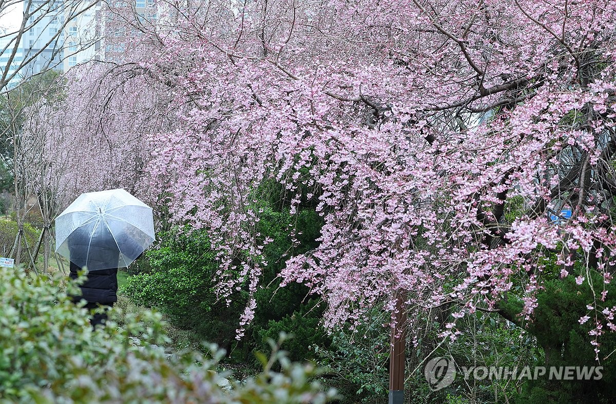 비바람 우려에 부산 어린이날 행사 일부 차질