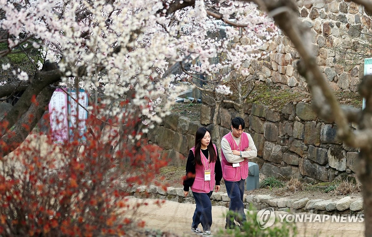  "사랑에 빠지세요" 외신도 주목…지자체들 '청춘남녀 중매'