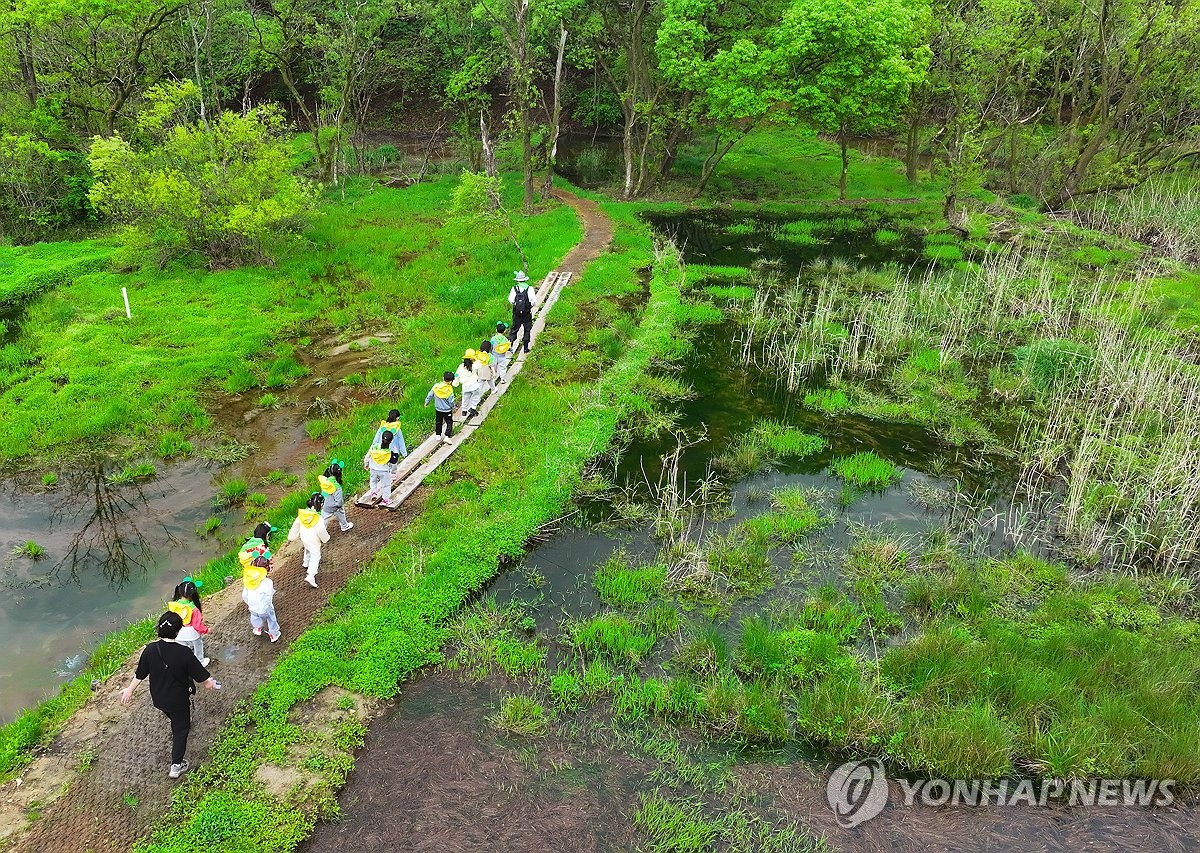 무등산 평두메습지, 광주 첫 람사르습지 등록…국내 26번째