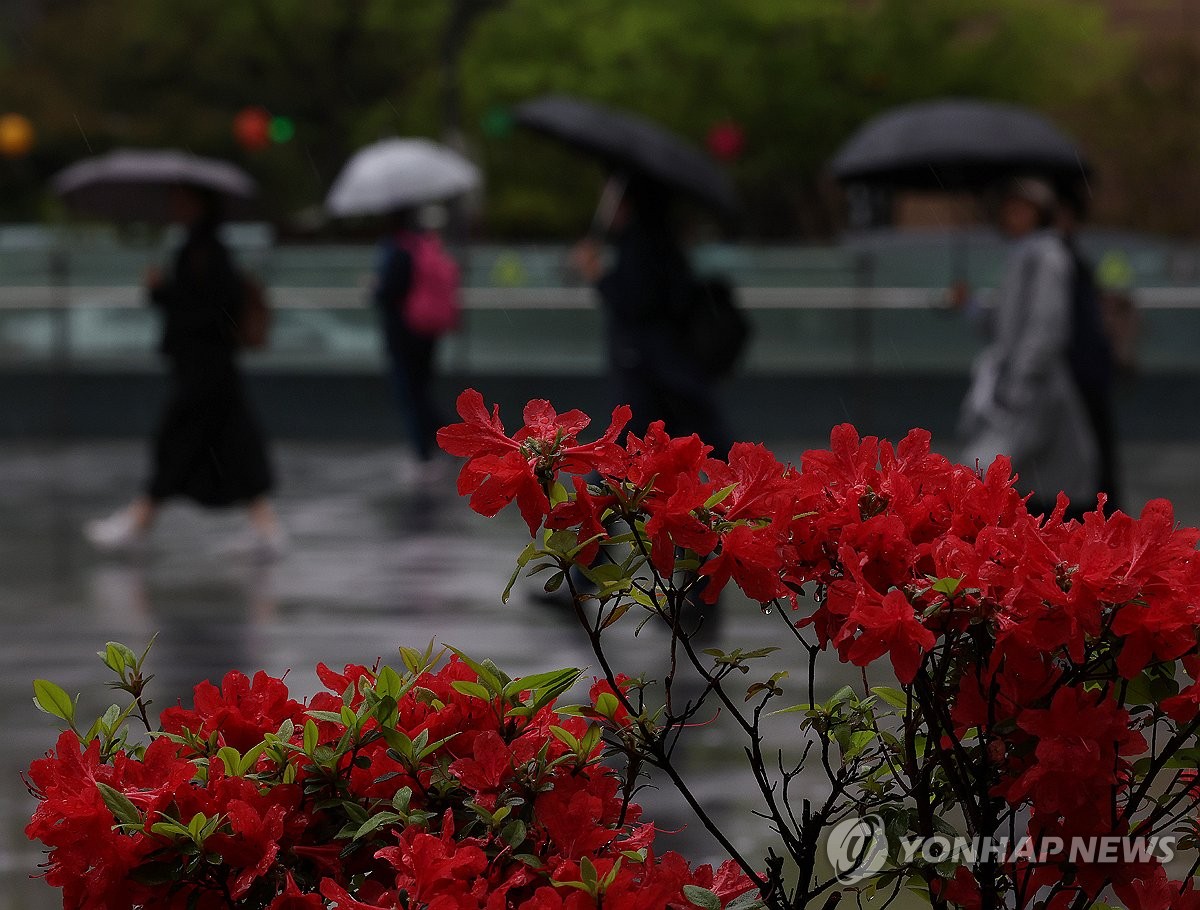 전국 흐리고 비…해안·강원 산지 중심 강한 바람