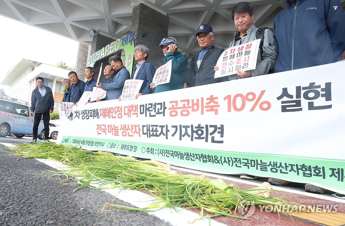 '마늘대 잎 안쪽에 새잎' 벌마늘 농업재해 결정