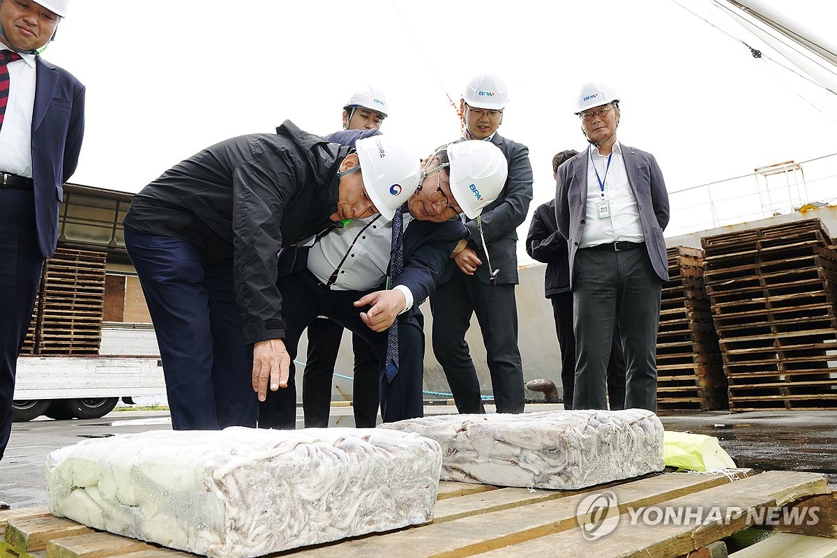 오징어·고등어·갈치 등 정부 비축물량 5천t 공급