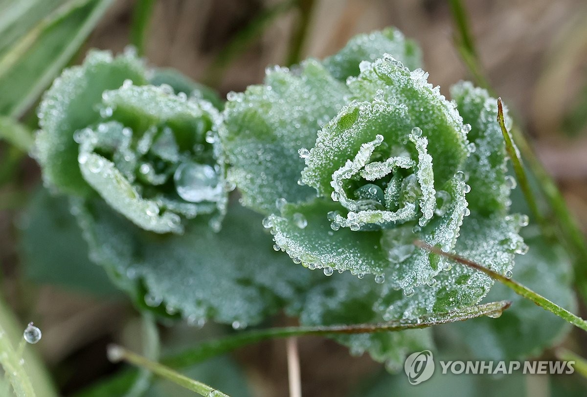 쌀쌀한 출근길…남부 내륙 오전 중 짙은 안개