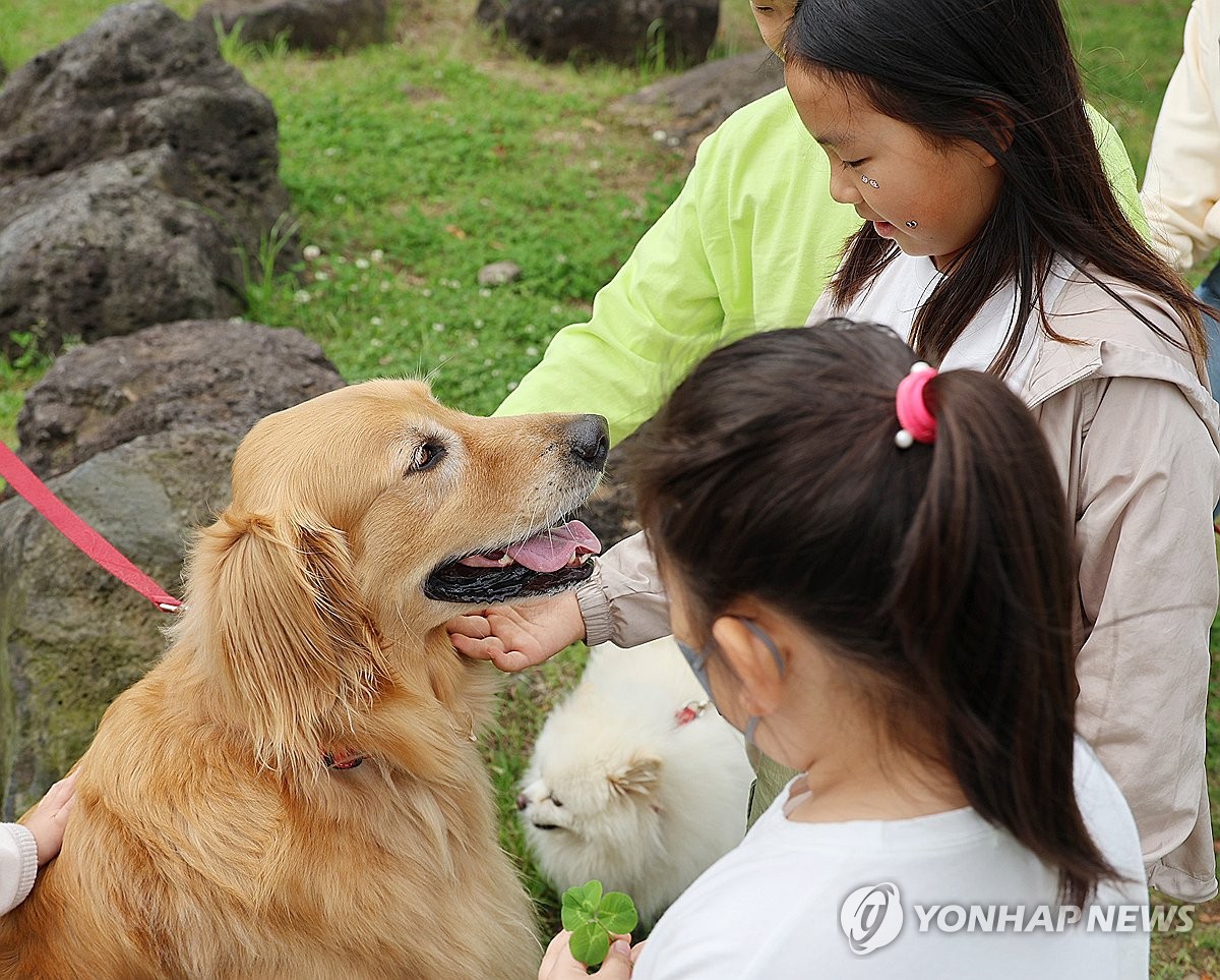 "우리 집 막둥이와 함께"…제주 반려동물 문화축제 개막