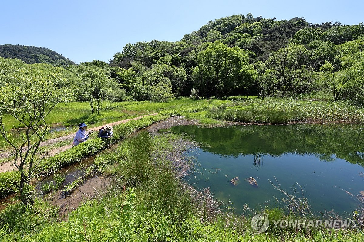 '람사르습지 등록' 광주 평두메 습지 보존·활용 대책 추진