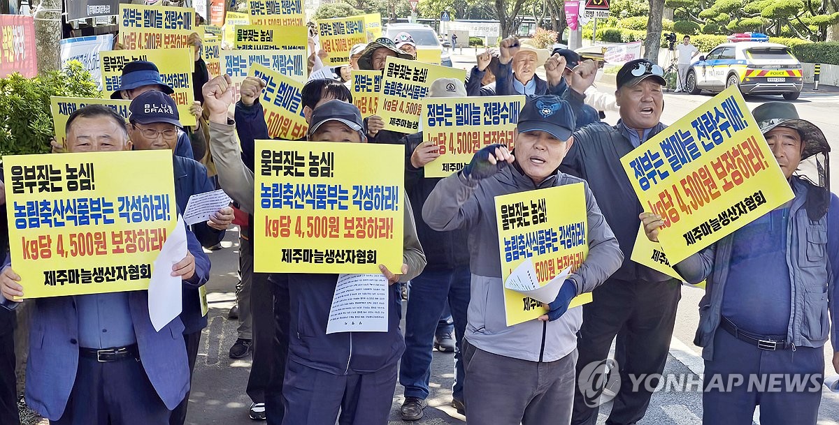 제주마늘생산자협회 "벌마늘 4천500원에 수매" 요구