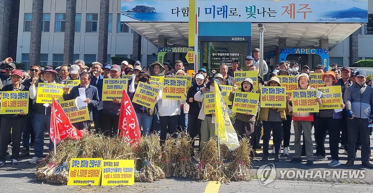 제주 벌마늘 지원 1㎏당 2천745원 합의에 농가 "턱없이 부족"