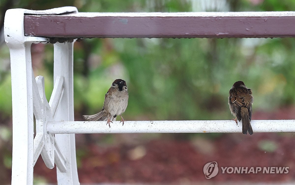 [날씨] 전국 강풍에 가끔 비…강원 산지에는 눈 오는 곳도