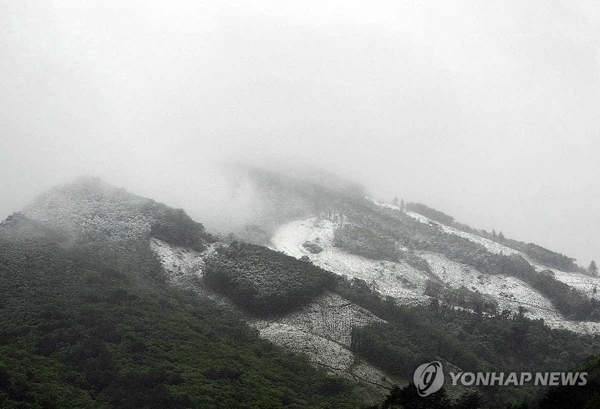 '5월 맞아?' 설악산 40㎝ 눈…"수확철 산나물 얼어" 농가 한숨(종합)