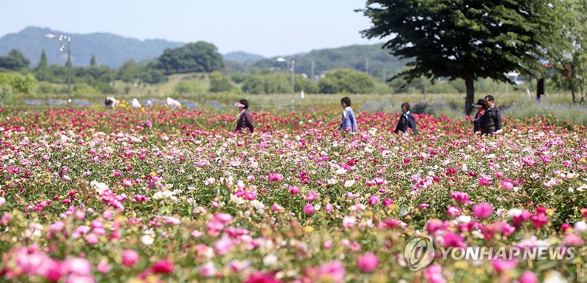 부산·울산·경남 맑다가 오후부터 비…낮 최고 24∼28도