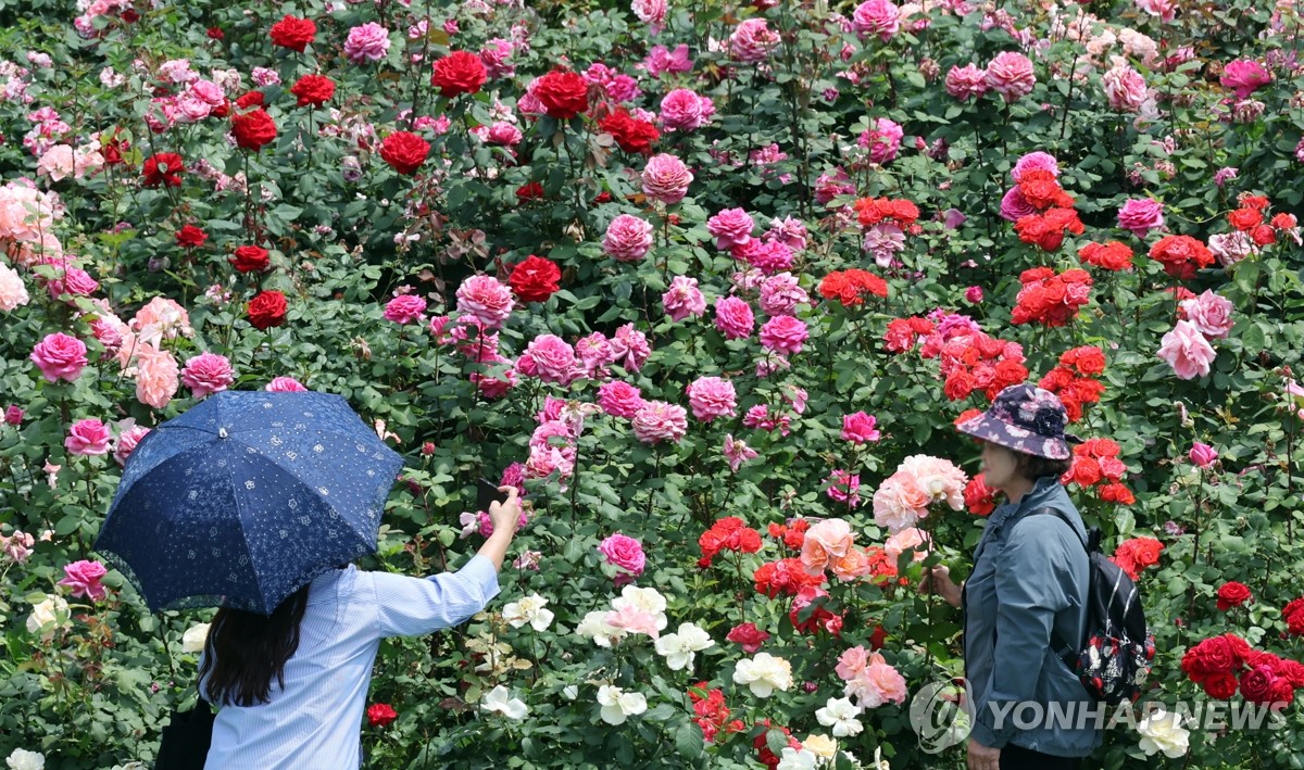 [내일날씨] 대체로 맑음…강풍에 아침은 쌀쌀 낮엔 더워져