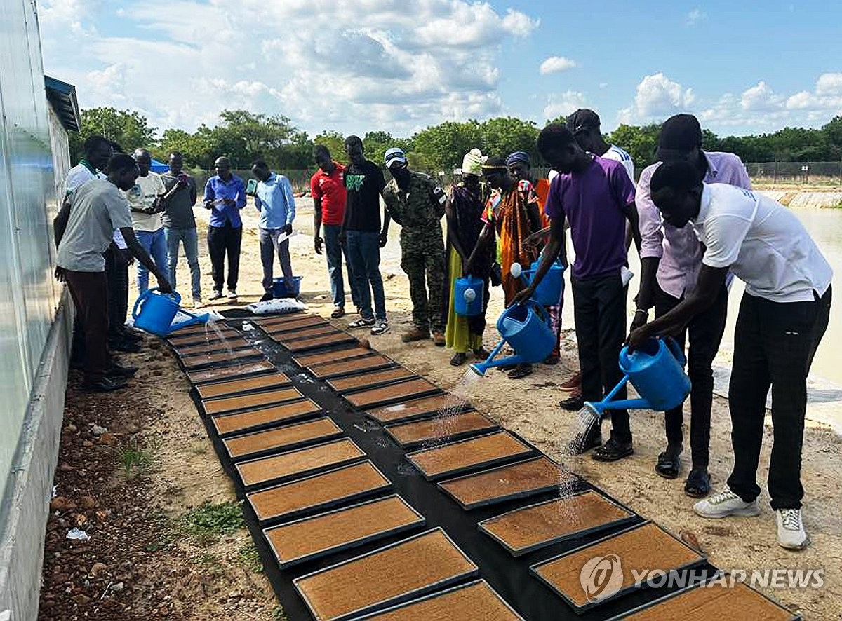 한빛부대, 남수단 식량난 해소 위해 한국식 벼농사 보급