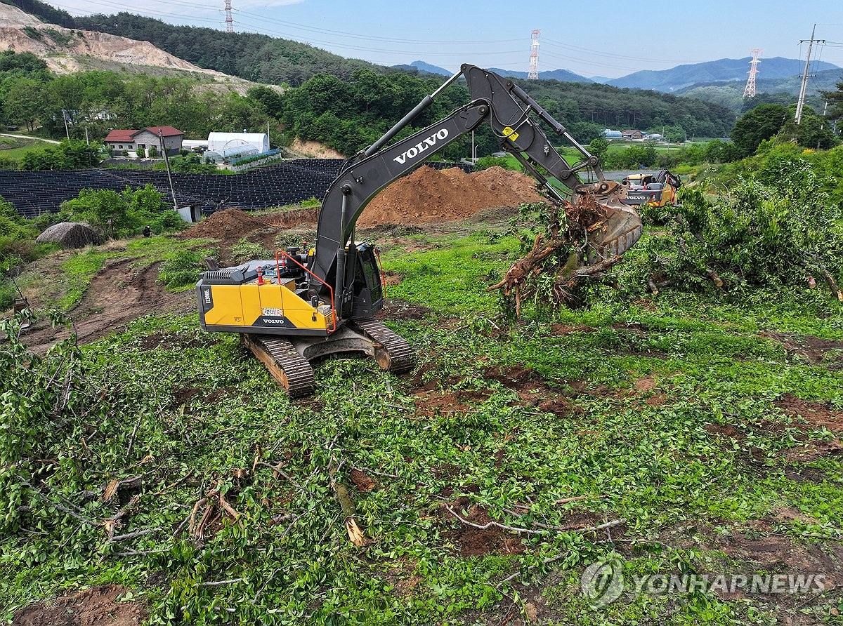 [르포] "자식 잃은 심정 같아요" 과수화상병에 파헤쳐진 농심