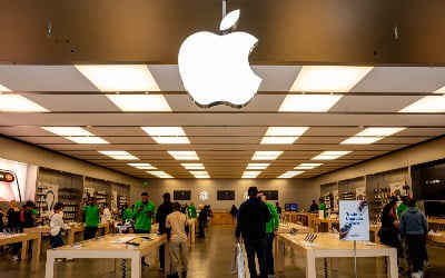 웨드부시 "애플, 아이폰에 챗GPT도입, 큰 수익기회"