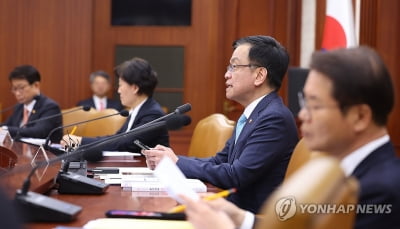 최상목 "범부처 '민생안정 지원단' 신설…민생경제 회복 총력"