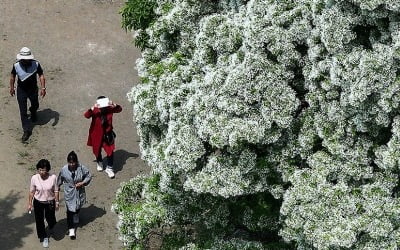 전국 대체로 맑음…아침 기온 내륙 중심 10도 이하 '쌀쌀'