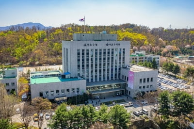 "모아타운 추진지역 불법중개 차단"…서초구 상시 단속 강화