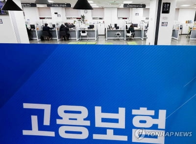 '가짜 3.3% 사업소득 근절'…고용·산재보험 사각 해소 집중홍보
