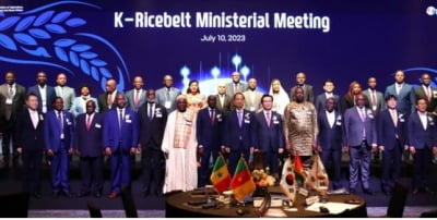 'K-라이스벨트' 아프리카 7개국 공무원, 국내 초청연수