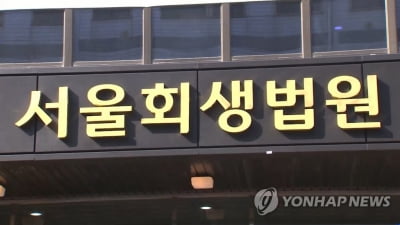 SM그룹, 범현대가 HN Inc 인수 성사…법원 강제인가