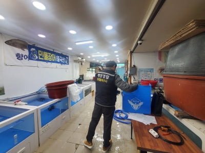 중국산 민물장어 3천500㎏ 국내산으로 속여 판 수산업자 적발