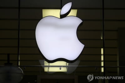 英 언론협회 "애플 새 iOS 광고차단 기능, 언론사 재정 위협"