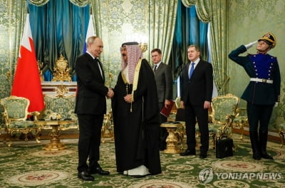 바레인 국왕, 푸틴에 "이란과 관계 정상화하고 싶다"