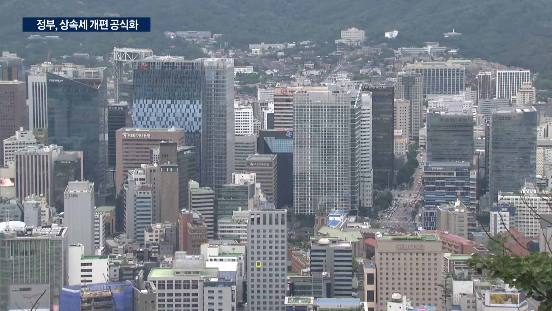 "최대주주 상속세 할증 폐지 검토"...상법 개정도 '속도'