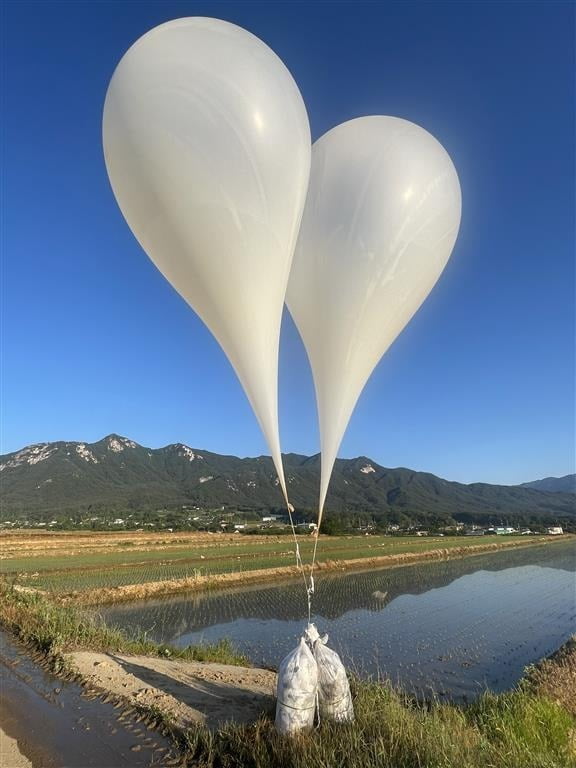 29일 경남 거창군 위천면 상천리 한 논에 북한이 남쪽을 향해 날려 보낸 것으로 보이는 대남 전단 살포용 추정 풍선이 보이고 있다. / 사진=에볼루션 카지노 사이트1