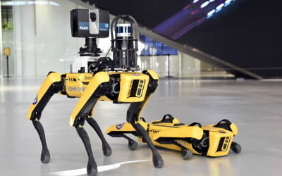 로봇개 '스폿' 현대차 울산 공장 투입 추진…야간 순찰 돈다