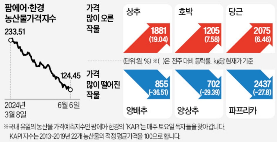 농산물 가격 11개월만 최저치…상추 오르고 양상추 떨어졌다