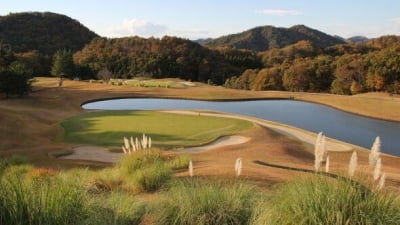 "제주도 보다 낫다" 골프족 몰리더니…투자자들 눈 돌린 곳