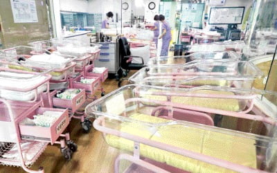 "한국은 안 낳고, 일본은 못 낳는다"…출산율 급락의 비밀 