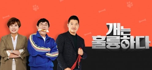 강형욱 없는 '개훌륭' 시작, '갑질 논란' 5주 만에 방송 재개