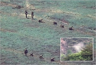 합참 "북한군, DMZ 작업 중 지뢰폭발로 사상자 다수 발생"