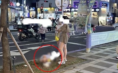 "중국인들 진짜 너무하네"…제주 대로변서 대변까지 '충격'