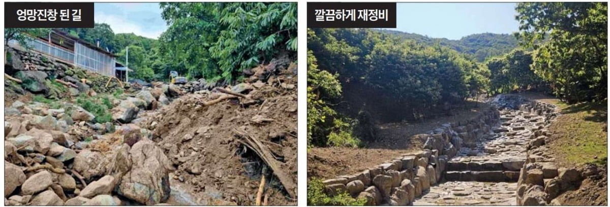 지난해 집중호우로 1.91㏊ 면적의 카지노 토토 피해를 본 충남 공주시 사곡면 회학리 일대 카지노 토토 당시 모습(왼쪽)과 피해를 복구한 현재 모습(오른쪽).  /산림청 제공 