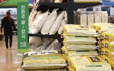 올해 쌀 생산량 5만톤 줄어들 듯…쌀값 방어나선 정부 '숨통'