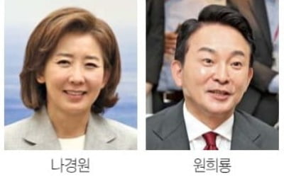 '한동훈은 안 된다' 협공 나선 羅·元·尹