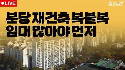 부동산뉴스 총정리📝 분당 재건축 + 부부 중복청약 | 집코노미 타임즈