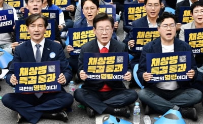 민주당, 8일 채상병 고향 전북서 '특검법' 관철 위한 장외집회
