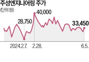 "카지노 슬롯머신 규칙 지주사 전환 디스플레이·태양광 키울 것"